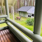 Pikku Pahtaja * Rovaniemi