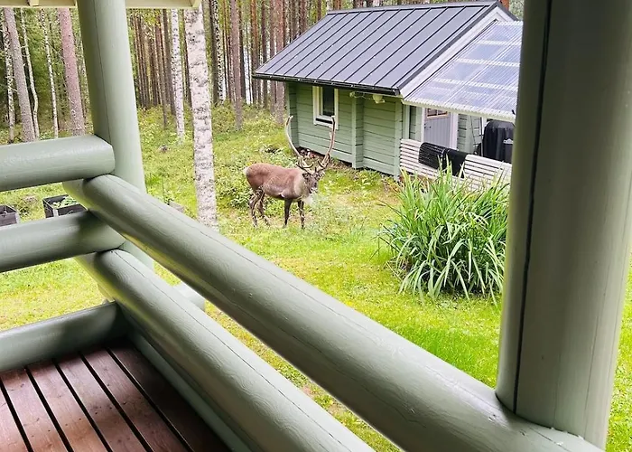 Pikku Pahtaja * Rovaniemi